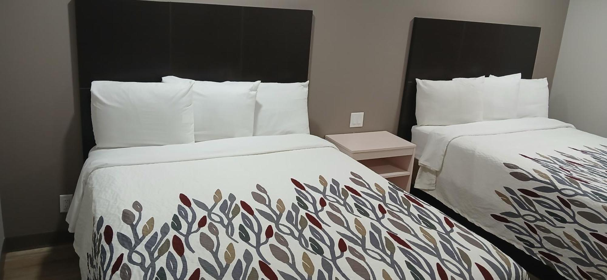 Red Roof Inn & Suites Euless - Dfw Airport Southwest Exteriör bild