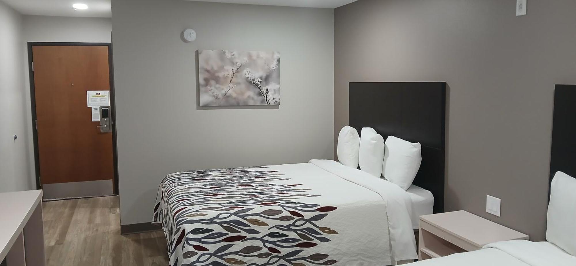 Red Roof Inn & Suites Euless - Dfw Airport Southwest Exteriör bild