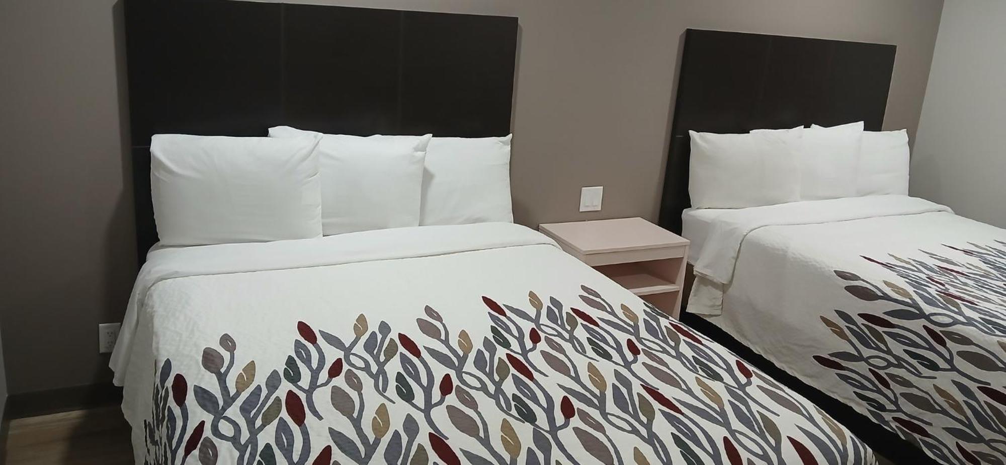 Red Roof Inn & Suites Euless - Dfw Airport Southwest Exteriör bild